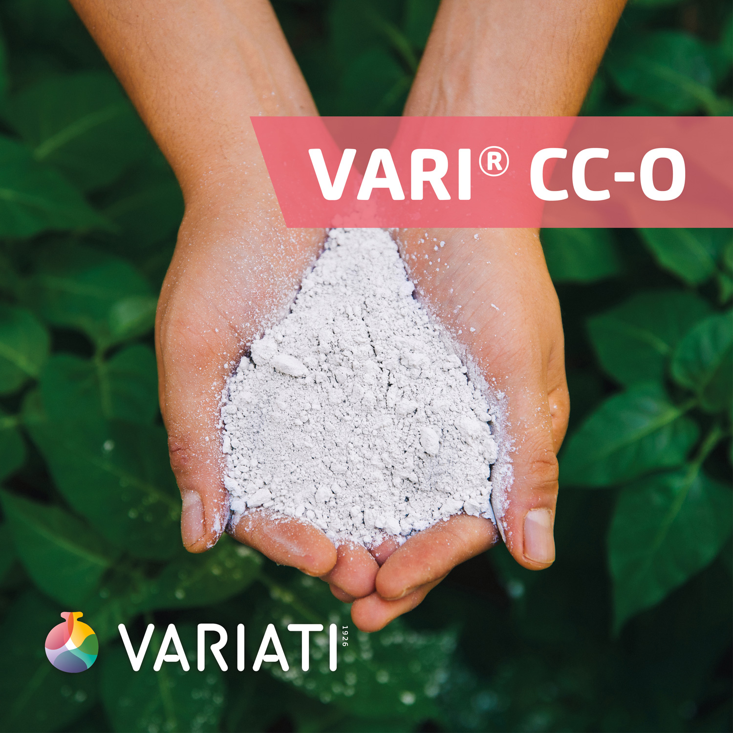 Variati | Naturally Treasured